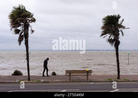 Southend on Sea, Essex, Großbritannien. November 2023. Starke Winde und heftiger Regen haben die Mündungsstadt Southend am Meer der Themse getroffen, als Sturm Ciarán durch Südengland reist. Ein einsamer Spaziergang auf der Strandpromenade, vorbei an windgepeitschten Palmen Stockfoto