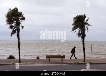 Southend on Sea, Essex, Großbritannien. November 2023. Starke Winde und heftiger Regen haben die Mündungsstadt Southend am Meer der Themse getroffen, als Sturm Ciarán durch Südengland reist. Ein einsamer Spaziergang auf der Strandpromenade, vorbei an windgepeitschten Palmen Stockfoto