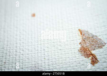 Extreme Nahaufnahme von weißem, handgemachtem Papier mit getrockneten Pflanzen. Geringe Schärfentiefe. Stockfoto