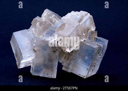 Halit oder Steinsalz ist ein Natriumchloridmineral. Kristallisierte Probe. Stockfoto