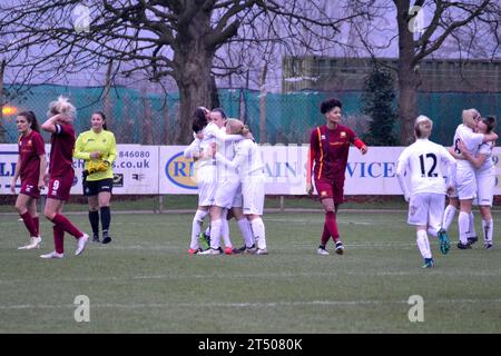 Neath, Wales. 22. Januar 2017. Die Swansea City Ladies-Spieler feiern ihren Sieg 2-1 nach dem Spiel der Walisischen Premier Women's League zwischen den Swansea City Ladies und Cardiff Met Ladies an der Llandarcy Academy of Sport in Neath, Wales, Großbritannien am 22. Januar 2017. Quelle: Duncan Thomas/Majestic Media. Stockfoto