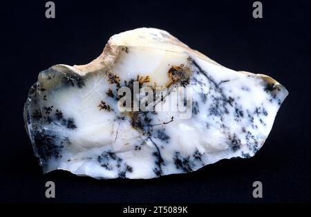 Opal ist eine hydratisierte Variante amorpher Kieselsäure. Probe mit dendritischem Pyrolusit. Stockfoto