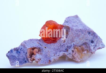 Feueropal ist eine Edelsteinsorte von Opal. Probe auf Matrix. Stockfoto