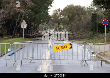 Carnac, Frankreich. November 2023. Gefallener Baum, der die Straße in Carnac, Westfrankreich, am 2. November 2023 blockiert, als der Sturm Ciaran die Region trifft. Der Sturm Ciaran traf Nordfrankreich mit Rekordwinden von fast 200 km/h und tötete einen LKW-Fahrer, da Südengland am 2. November 2023 in hoher Alarmbereitschaft blieb und Eisenbahnunternehmen in mehreren Ländern vor Verkehrsstörungen warnten. Rund 1,2 Millionen Haushalte verloren über Nacht Strom, als der Sturm Frankreich die Nordwestküste verwüstete und Bäume aus dem Boden riss. Foto: Raphael Lafargue/ABACAPRESS.COM Credit: Abaca Press/Alamy Live News Stockfoto