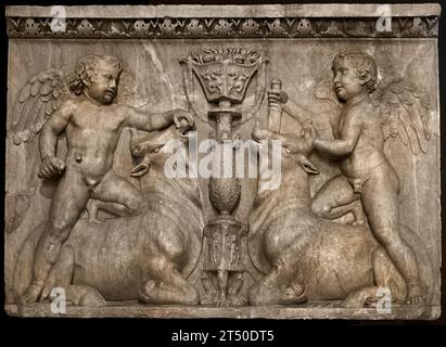 Relief mit Kuppiden, die Stiere aus dem Tempel der Venus Genetrix im Forum von Cäsar, Rom reiten. (1. Jahrhundert n. Chr.) (2. Jahrhundert n. Chr.) nationales Archäologisches Museum von Neapel Italien. Stockfoto