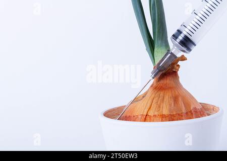 Pflanzen im Labor anbauen. Grüne Zwiebeln auf weißem Hintergrund. Pestizide, Herbizide und Düngemittel für die Pflanzenernährung. Stockfoto