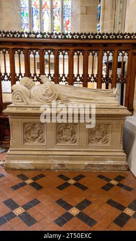 Innere der St. Andrew's Cathedral, Town Hall, Sydney, NSW, Australien Stockfoto