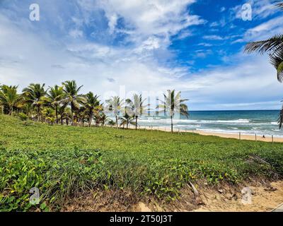 Blick auf den Strand von Imbassai, Bahia, Brasilien. Wunderschöner Strand im Nordosten mit einem Fluss und Palmen. Stockfoto