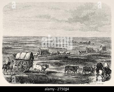 Caravan in der Pampas, Argentinien. Reise des Don Giovanni Mastai in Südamerika (1823-1824) Stich aus dem 19. Jahrhundert aus Le Tour du Monde 1860 Stockfoto