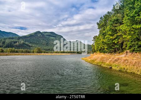 Lewis River zwischen Swift Reservoir und Yale Lake, Blick von der Forest Road 90, Cascade Range, Gifford Pinchot National Forest, Washington State, USA Stockfoto