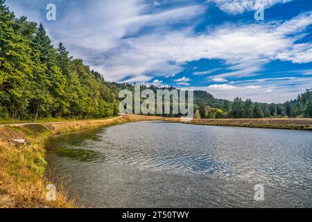 Lewis River zwischen Swift Reservoir und Yale Lake, Blick von der Forest Road 90, Cascade Range, Gifford Pinchot National Forest, Washington State, USA Stockfoto