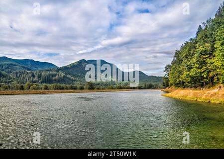 Lewis River zwischen Swift Reservoir und Yale Lake, Blick von der Forest Road 90, Cascade Range, Gifford Pinchot National Forest, Washington State, USA Stockfoto