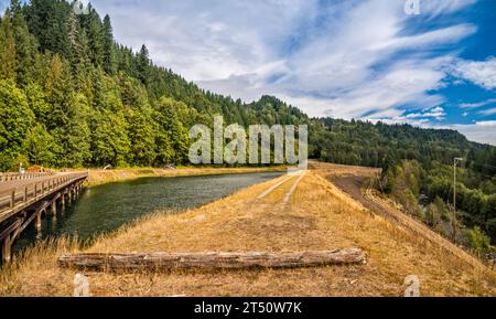 Lewis River zwischen dem Swift Reservoir und dem Yale Lake, Uferdamm an der Forest Road 90, Cascade Range, Gifford Pinchot National Forest, Bundesstaat Washington, USA Stockfoto