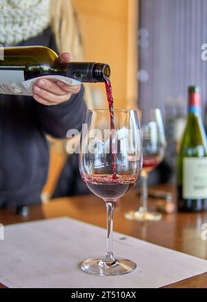 Weinprobe in mendoza, Argentinien. Die Hand der Frau hält eine Flasche Rotwein, die in ein Glas gießt. Unscharfer Hintergrund. Selektiver Fokus Stockfoto