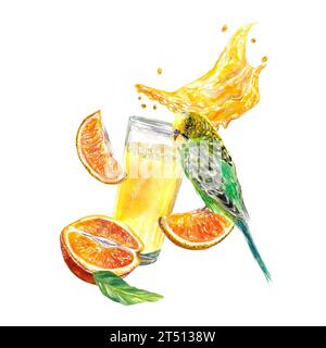 Ein Glas Saft, Spritzer und Orangenscheiben, ein Kumpel. Aquarellabbildung isoliert auf weißem Hintergrund. Café-Menü, Saftetiketten, Lebensmittelverpackungen. Stockfoto