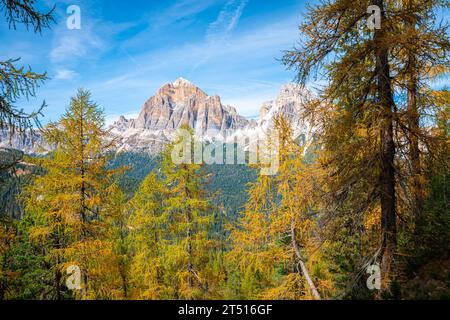 Herbstliche Berglandschaft mit Lärchen Stockfoto