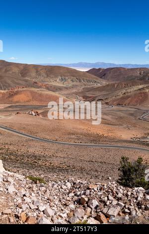 Anden in der Nähe der Salinas Grandes Salinen in Salta, Nord-Argentinien, Südamerika Stockfoto