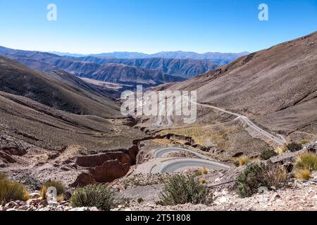 Anden in der Nähe der Salinas Grandes Salinen in Salta, Nord-Argentinien, Südamerika Stockfoto