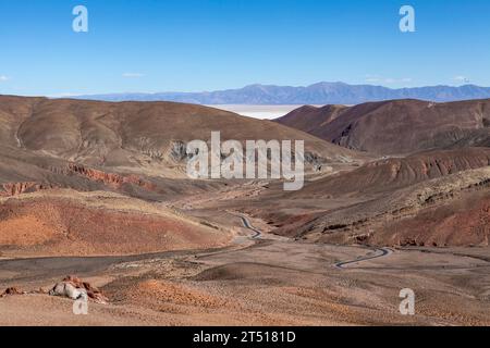 Anden in der Nähe der Salinas Grandes Salinen in Salta, Nord-Argentinien, Südamerika Stockfoto