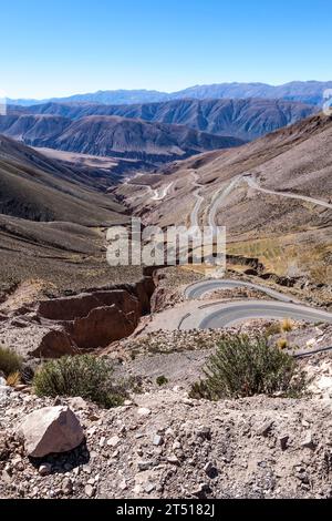 Anden in der Nähe der Salinas Grandes Salinen in Salta, Nord-Argentinien, Südamerika Stockfoto