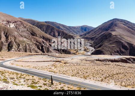 Anden in der Nähe der Salinas Grandes Salinen in Salta, Nord-Argentinien, Südamerika Stockfoto