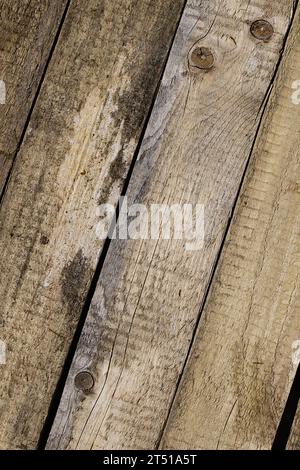 Ein fesselndes Bild mit gleichmäßig angeordneten alten Kiefernplanken, die eine Reihe von Holzfarben zeigen, die von den Elementen beeinflusst werden: Regen, Sonne und Wind. Die Stockfoto