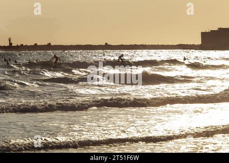 Silhouetten von Surfern, die auf der Welle und im Wasser reiten und warten, an Bord der nächsten Küste in Tel Aviv aufzustehen. Erstaunliches orangefarbenes Sonnenlicht (hintergrundbeleuchtet) von bald Stockfoto