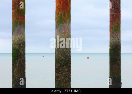 Bilder von Brighton Küste und Pier Stockfoto