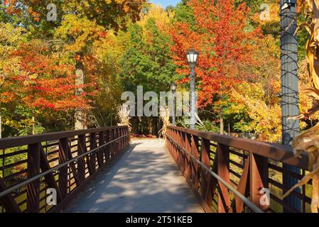 Eine Fußgängerbrücke über einen schmalen Teil des Coe Lake in Berea, Ohio, führt zu Herbstfarben. Die Geländer sind mit Vorhängeschlössern verziert, die ein romantisches A symbolisieren Stockfoto