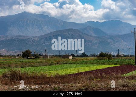 Lasithi Plateau, Kreta, Griechenland. 30.09.2023. Windmühlen, ferne Berge und Salatkulturen auf dem Lasithi-Plateau im Osten Kretas, Greec Stockfoto