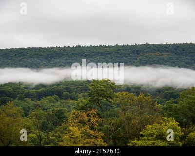 Woody Mountains in der Nähe von Mathias und Lost City, West Virginia, USA, sind von tief hängenden Wolken umgeben. Diese atmosphärische Szene verkörpert den Stockfoto