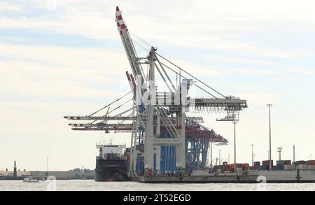 Der Containerterminal Tollerort CTT der Hamburger Hafen und Logistik AG. Steinwerder Hamburg *** das Containerterminal Tollerort CTT der Hamburger Hafen und Logistik AG Steinwerder Hamburg Credit: Imago/Alamy Live News Stockfoto