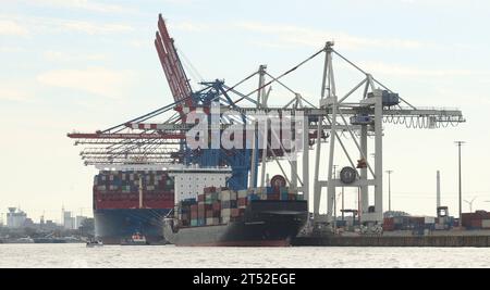 Der Containerterminal Tollerort CTT der Hamburger Hafen und Logistik AG. Steinwerder Hamburg *** das Containerterminal Tollerort CTT der Hamburger Hafen und Logistik AG Steinwerder Hamburg Credit: Imago/Alamy Live News Stockfoto