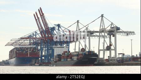 Der Containerterminal Tollerort CTT der Hamburger Hafen und Logistik AG. Steinwerder Hamburg *** das Containerterminal Tollerort CTT der Hamburger Hafen und Logistik AG Steinwerder Hamburg Credit: Imago/Alamy Live News Stockfoto