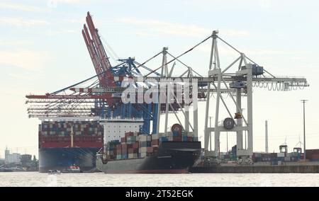 Der Containerterminal Tollerort CTT der Hamburger Hafen und Logistik AG. Steinwerder Hamburg *** das Containerterminal Tollerort CTT der Hamburger Hafen und Logistik AG Steinwerder Hamburg Credit: Imago/Alamy Live News Stockfoto