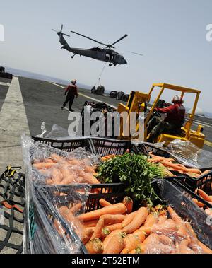 1006167317W-013 MEDITERRANEAN SEA (16. Juni 2010) Seemänner transportieren während einer vertikalen Auffüllung mit dem Military Sealift Command Flotte Nachschuböler USNS Big Horn (T-AO 198) Vorräte an Bord des Flugzeugträgers USS Harry S. Truman (CVN 75). Harry S. Truman ist Teil der Harry S. Truman Carrier Strike Group, die maritime Sicherheitsoperationen und die Zusammenarbeit im Bereich der Theatersicherheit in den Zuständigkeitsbereichen der 5. Und 6. US-Flotte unterstützt. Marineblau Stockfoto