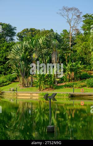 Greenwich Arrow am Symphony Lake, Singapur Botanic Gardens Stockfoto