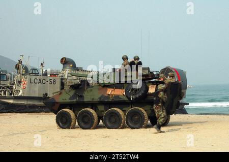 0711149177B-001 PO HANG, Republik Korea (14. November 2007) US-Marines der 31. Marine-Expeditionseinheit und Republic of Korea-Marines des 2. Bataillons, 7. Marine-Regiment, 1. Marine-Division, bereiten sich darauf vor, das nächste Ziel während der Übung des Koreanischen integrierten Trainingsplans zu erreichen. Das amerikanische leichte gepanzerte Fahrzeug wurde von einem der drei Landungsboote, Luftkissen, die die Marines von Schiff zu Land transportierten, vom amphibischen Angriffsschiff USS Essex (LHD 2) zum Strand transportiert. US Navy Stockfoto