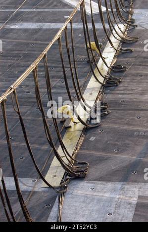 0611309479M-011 Arabische See (30. November 2006) – Schützen führen Sicherheitskontrollen an einer Flugzeugbarrikade im Rahmen einer Flugdeckübung an Bord des Flugzeugträgers USS Dwight D. Eisenhower (CVN 69) durch. Flugzeugbarrikaden werden in Notfällen eingesetzt, wenn Flugzeuge nicht sicher landen können. Eisenhower und Embed Carrier Air Wing Seven (CVW-7) werden regelmäßig zur Unterstützung von Maritime Security Operations (MSO) eingesetzt. US Navy Stockfoto