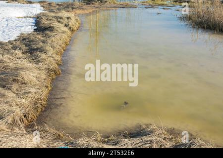 Schmelzwasser auf dem Feld. Schmelzender Schnee in der Natur. Anfang Frühling. An einem Ort hat sich viel Wasser angesammelt. Stockfoto