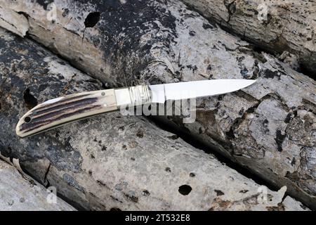 Nahaufnahme eines kleinen Klappmessers an einem umgestürzten Baum im Wald Stockfoto