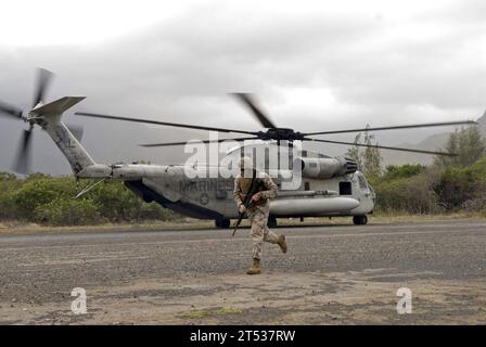 0807186270R-011 WAIMANALO, Hawaii (18. Juli 2008) Marines, die der Combat Logistics Unit (CLU) 3 zugewiesen wurden, landen in einem Marine CH-53 Sea Hallion Helikopter während eines simulierten Überfalls an Rim of the Pacific (RIMPAC) 2008. Der Hubschrauber flog vom amphibischen Angriffsschiff USS Bonhomme Richard (LHD 6). RIMPAC ist die weltweit größte zweijährliche multinationale Übung, die von der U.S. Pacific Fleet durchgeführt wird. Teilnehmer sind die USA, Australien, Kanada, Chile, Japan, Niederlande, Peru, Republik Korea, Singapur und Vereinigtes Königreich. US Navy Stockfoto