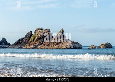 Woolleys Bay, wo Strand, Sonnenuntergang, Möwenkolonie und Küstenlandschaft in einer ruhigen Umgebung zusammenkommen, die Neuseelands Nordinsel definiert Stockfoto