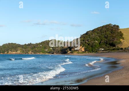 Woolleys Bay, wo Strand, Sonnenuntergang, Möwenkolonie und Küstenlandschaft in einer ruhigen Umgebung zusammenkommen, die Neuseelands Nordinsel definiert Stockfoto