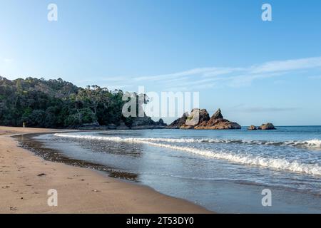 Woolleys Bay, wo Strand, Sonnenuntergang, Möwenkolonie und Küstenlandschaft in einer ruhigen Umgebung zusammenkommen, die Neuseelands Nordinsel definiert Stockfoto