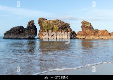 Woolleys Bay, wo Strand, Sonnenuntergang, Möwenkolonie und Küstenlandschaft in einer ruhigen Umgebung zusammenkommen, die Neuseelands Nordinsel definiert Stockfoto