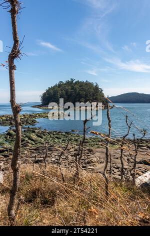 Felsiger Strand auf Mayne Island, BC, Kanada. Eine kleine, mit Bäumen bedeckte Insel liegt direkt vor der Küste im Pazifik. Felsen führen zur Insel. Stockfoto