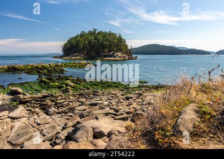 Felsiger Strand auf Mayne Island, BC, Kanada. Eine kleine, mit Bäumen bedeckte Insel liegt direkt vor der Küste im Pazifik. Felsen führen zur Insel. Stockfoto