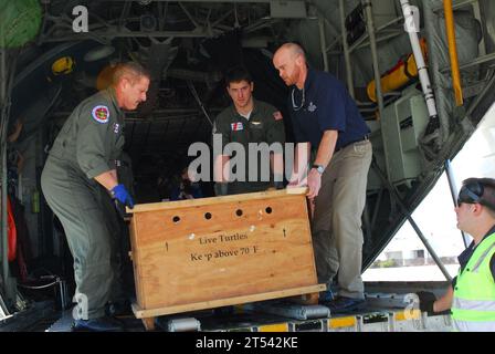Küstenwache, Naval Air Station Nordinsel, san diego, Meeresschildkröten, Sea World Stockfoto