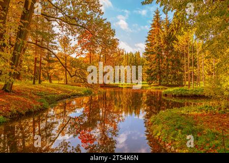 Farbenfroher Herbstpark an einem sonnigen Tag. Wunderschöne Herbstlandschaft mit gelben und roten Bäumen. Herabfallende Blätter. Natürlicher Herbst-Hintergrund. Stockfoto